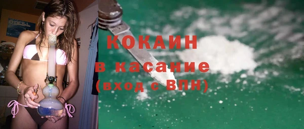 шишки Арсеньев