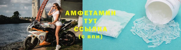 шишки Арсеньев