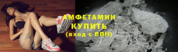 шишки Арсеньев