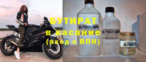 шишки Арсеньев
