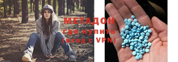 шишки Арсеньев