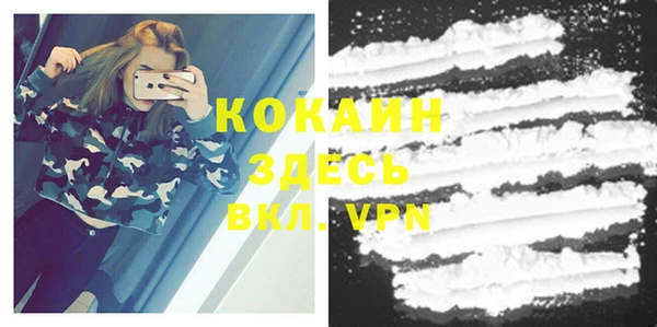 шишки Арсеньев