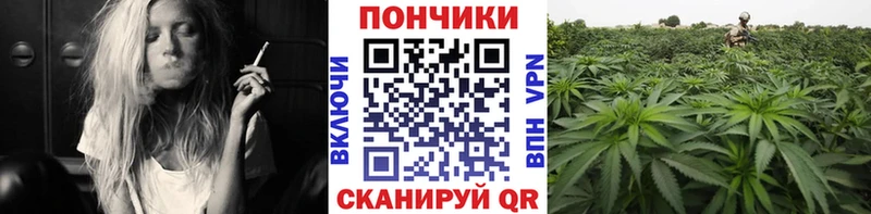 Марихуана планчик  купить закладку  Славгород 